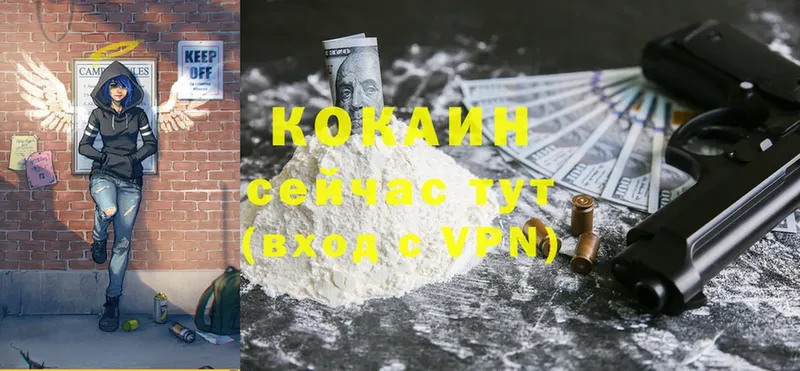 КОКАИН FishScale  закладка  Каневская 