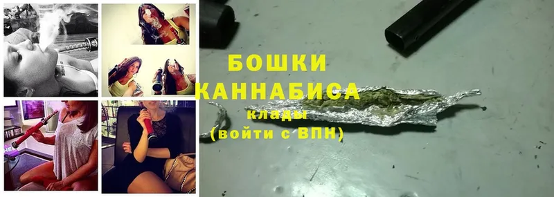 Шишки марихуана план  где найти   Каневская 